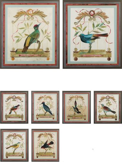 école italienne du XIXe siècle Huit études d'oiseaux Gouache (taches et usures)....