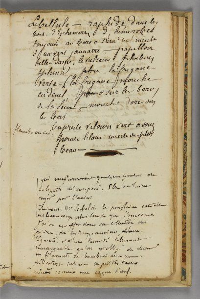 GONCOURT, Edmond et Jules de. Madame Gervaisais [Notes manuscrites autographes] 1890...