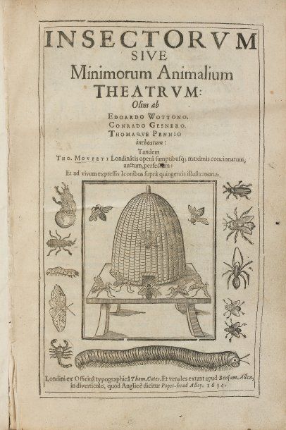 MOFFET, Thomas. Insectorum sive minimorum animalium theatrum Londres, Thom. Cotes,...