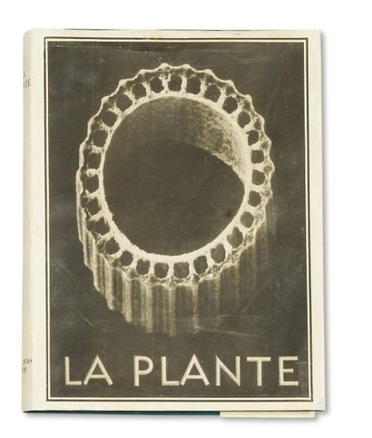 BLOSSFEDLT Karl (1865-1932) La Plante. Cent vingt planches en héliogravure d'après...