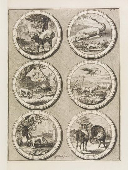 PHÈDRE. Fabularum Æsopiarum libri V. Amsterdam, François Halma, 1701. In-4, frontispice,...