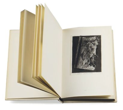 JAN FABRE (NÉ EN 1958) Fabre Book of insects, 1990 Maquette originale pour le livre...