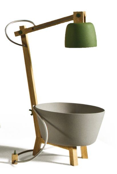 DAPHNA ISAACS Prototype Lampe coupe à fruits « Tafelstukken » en porcelaine et chêne,...