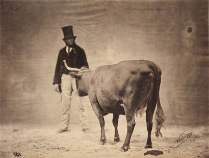 FÉLIX TOURNACHON, DIT NADAR (1820-1910) Concours agricole, circa 1860 Tirage albuminé...