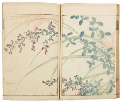 Bumpo dit Kimpaen - Bumpo Kawamura (1779-1821) Kimpaen gafu. Album de dessins de...