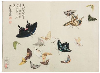 Shunkei Mori (actif 1800-1820) Shunkei gafu. Album illustré de Shunkei 1 album complet,...