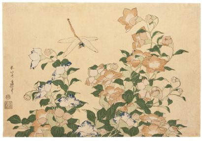 Hokusai Katsushika (1760-1849) Clochettes et Libellule Dix estampes composent cette...