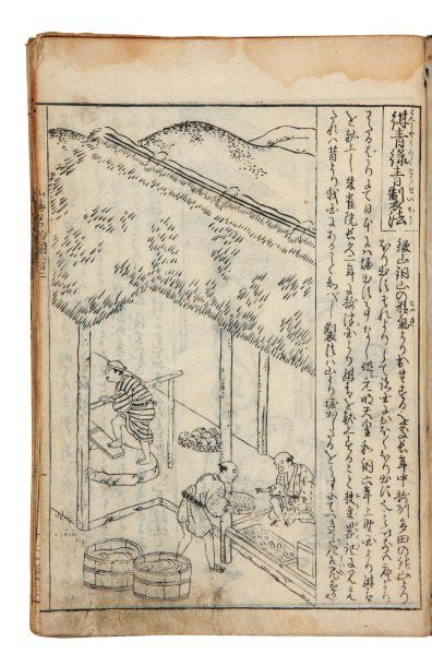 Mitsunobu Hasegawa (1730-1760) Nihon sankai meibutsu zue Illustration des spécialités...