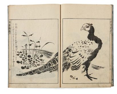 Morikuni Tachibana (1679-1748), dit Kôsoken, Yûzei Umpitsu sôga Album de dessins...