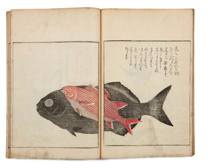 Osaï Izu nikki ga Journal illustré d'un voyage à Izu 1 volume complet, couverture...