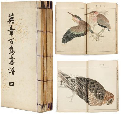 Eishô tsuchida Eisho Hyakuchô Gafu Album de dessins de cents oiseaux 4 volumes complets,...