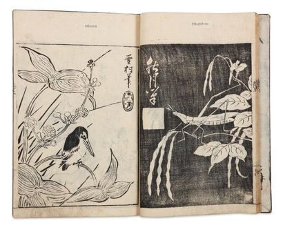 Shunmoku Ôoka (1680-1763) Wakan meihitsu ehon tekagami Album de chefs-d'oeuvre japonais...