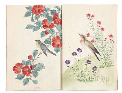 Anonyme Album de dessins d'oiseaux et de fleurs 100 pages de dessins à l'aquarelle...