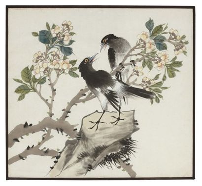 null Lot de : Anonyme a - Trois oiseaux Encre de chine et aquarelle sur papier. Deux...