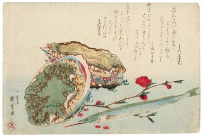 Hiroshige Ando (1797-1858) Awabi-Sayori. Abalone et poisson serpent. De la Série...