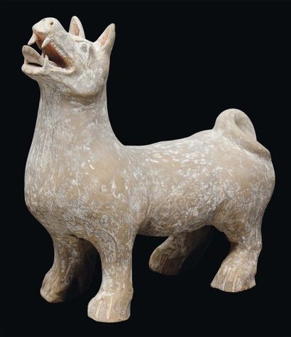 null STATUETTE DE CHIEN À L'ARRÊT la tête légèrement dressée en terre cuite. Chine,...