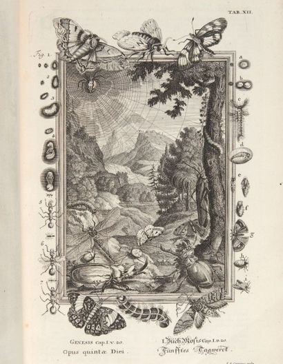 SCHEUCHZER (Jean-Jacques) Physica sacra, iconibus æneis illustrata procurante & sumtus...