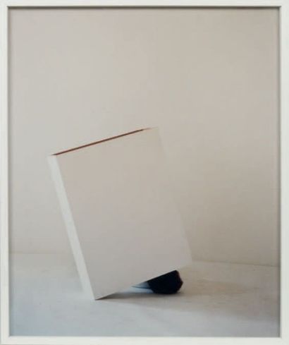 ERWIN WURM (NÉ EN 1954) Sculpture with a box, 2000
Série de douze photographies couleur...