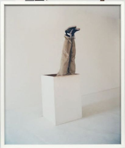 ERWIN WURM (NÉ EN 1954) Sculpture with a box, 2000
Série de douze photographies couleur...
