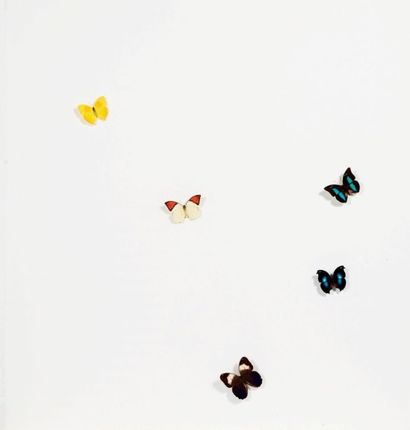 CLAUDIO PARMIGGIANI (NÉ EN 1943) Butterfly, 2005
Collages de papillons naturalisés...