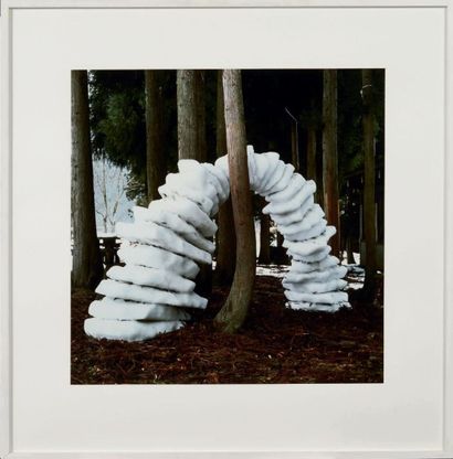 Andy GOLDSWORTHY (né en 1956) Mountain to Cost, 1987
C-Print.
Tiarge à 5 exemplaires.
H_110...
