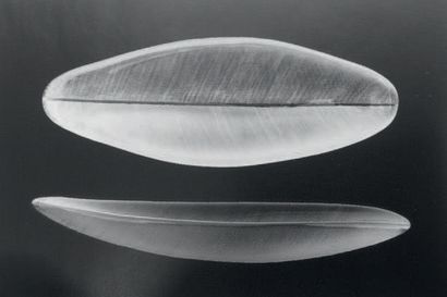 TAPIO WIRKKALA (1915-1985) Plat «Feuille» modèle 3869
Cristal gravé
Édition Iittala
Signé,...