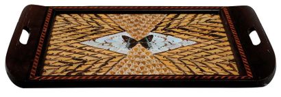null Plateau décoré d'ailes de papillons. H_53 cm L_34 cm