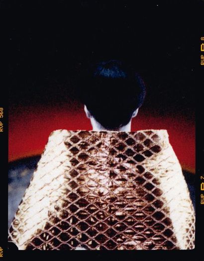 ARNO BANI (NÉ EN 1976) Michael Jackson à la cape d'or n°4, 1999 Tirage unique de...
