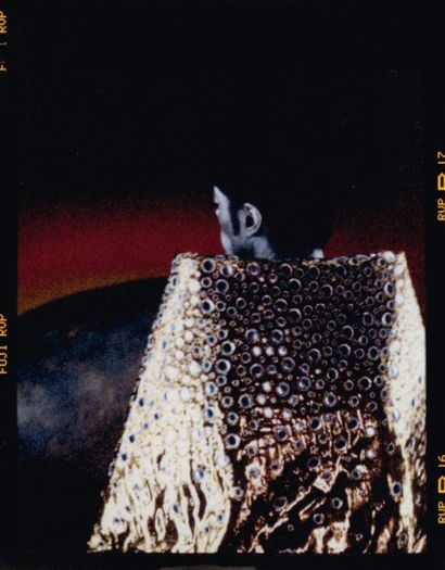 ARNO BANI (NÉ EN 1976) Michael Jackson à la cape d'or brodée n°9, 1999 Tirage unique...