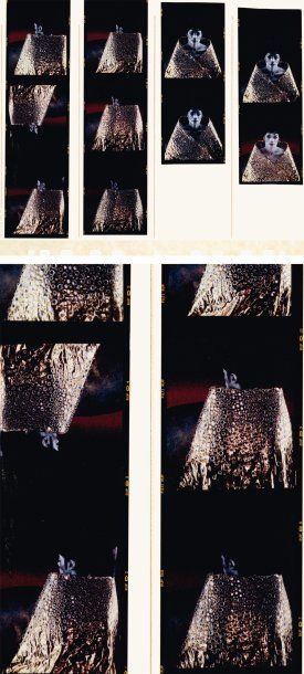 ARNO BANI (NÉ EN 1976) Michael Jackson à la cape d'or brodée, 1999 Planche-contact...