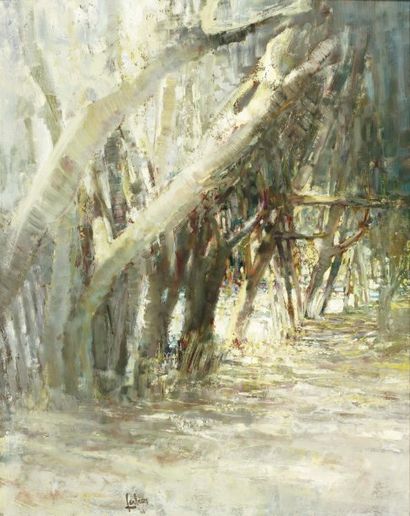 Louis FABIEN (né en 1924) Paysage aux arbres entrelacés Huile sur sa toile d'origine....