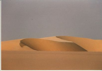 LAURA SONNINO JANNELI A la rencontre du désert
Ensemble de dix-sept photographies...