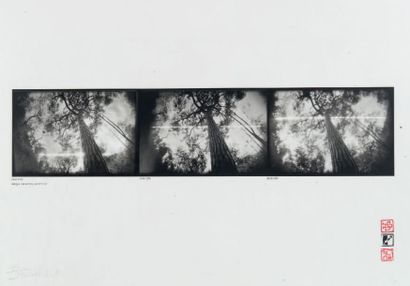 DOMINIQUE STROOBANT Miseglia, 1978
Pin hole photography.
Signée en bas à gauche.
Epreuve...