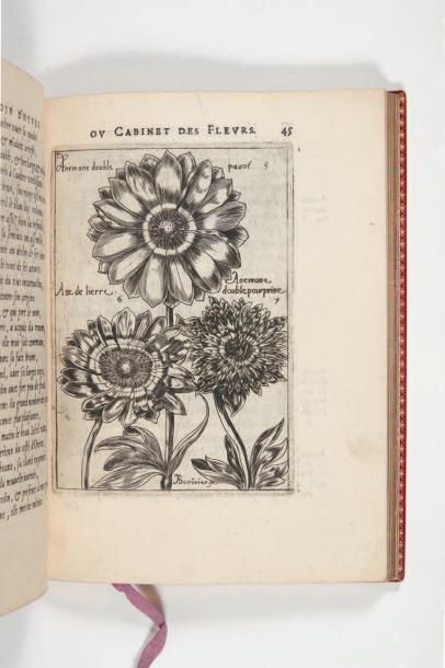 FRANEAU (Jean) Iardin d'Hyver ou Cabinet des fleurs contenant en XXVI elegies les...