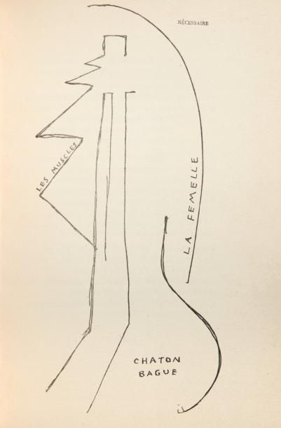 Picabia, Francis Poèmes et dessins de la fille née sans mère. Lausanne, Imprimeries...