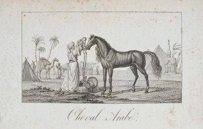 CHATELAIN, M. le Chevalier Mémoire sur les chevaux arabes. Projet tendant à augmenter...