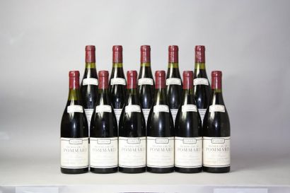 null 11 BOUTEILLES POMMARD 1er cru «Les Rugiens»
PARENT 1987
Étiquettes légèrement...