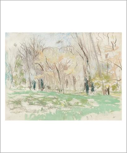 Edouard VUILLARD (1868-1940) Le rideau d'arbres, vers 1932-1938 Pastel sur papier....
