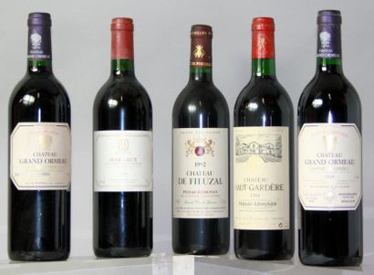  Lot de 5 bouteilles VINS ROUGES DE BORDEAUX : 1 MARGAUX - Mise HEDIARD 1996 2 CHÂTEAU...