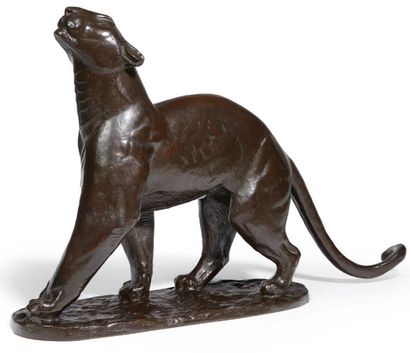 Georges-Lucien GUYOT (1885-1973) Panthère humant
Bronze à patine brune.
Modèle conçu...