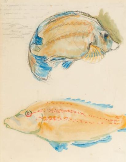 Théo Van RYSSELBERGHE (1862-1926) Deux poissons, 1909
Crayon et aquarelle sur papier.
H_28...