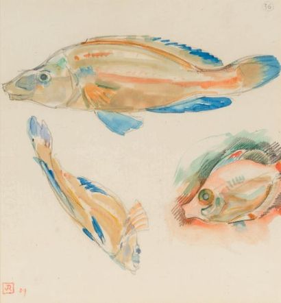 Théo Van RYSSELBERGHE (1862-1926) Trois poissons, 1909
Aquarelle et crayon sur papier.
Monogrammé...
