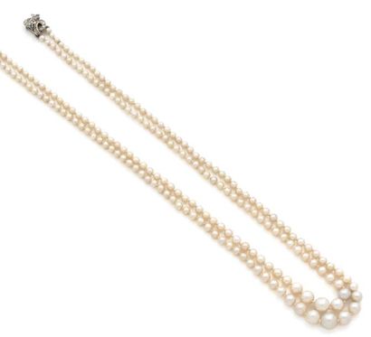 null COLLIER de deux rangs de perles en chute, fermoir en noeud d'or gris 18K (750)...