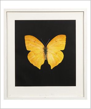 Damien HIRST (Né en 1965) Butterfly, 2008
Sérigraphie en couleur.
Signée en bas au...