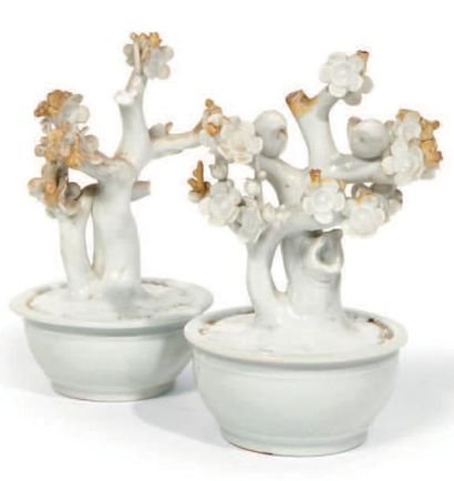 null PAIRE DE GROUPES en porcelaine émaillée blanc de Chine, bonsaï de cerisiers...