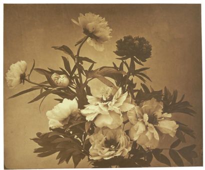 Adolphe Braun Bouquet de fleurs, vers 1860 Épreuve au charbon postérieure H_36 cm...
