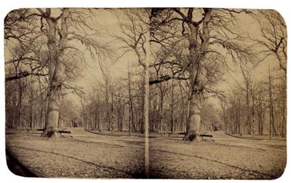 OLYMPE AGUADO Paris, bois de Boulogne, vue stéréoscopique (grand format), vers 1856...