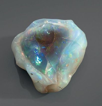 null Opale fossilisée d'Ethiopie dans son nodule.
Poids: 192,12 cts
Les opales, jusqu'à...