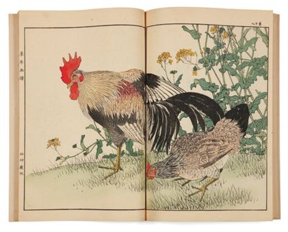 Keinen Imao (1845-1924) Keinen Kachô Gafu. Album de dessins de fleurs et d'oiseaux...