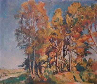 WEISS, Wojciech (Polonais 1875 - 1950) 
Paysage de Kalwaria, bosquet d'arbres
Huile...